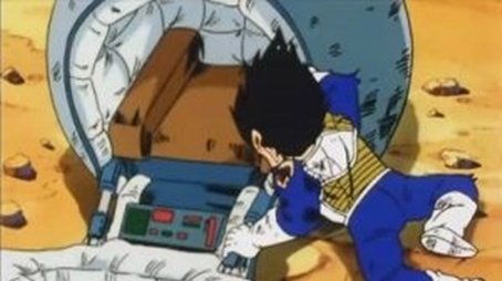 Son-Gokus Bitte