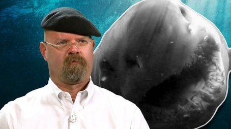Mythbusters' Jawsome Shark Special (2012) - Episode 4 poster and promotional image