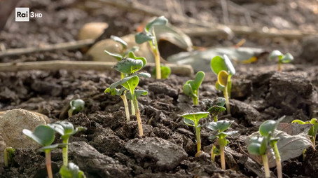 Superquark - Prepararsi al futuro Sezóna 1