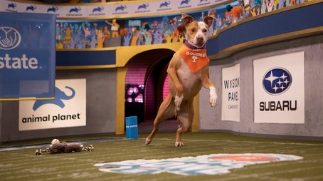 The Villalobos Bowl (2020) - Episode 6 poster and promotional image
