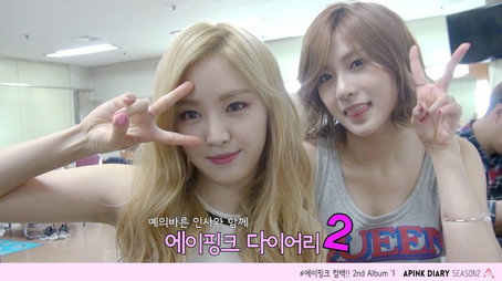 에이핑크 다이어리 Сезон 2