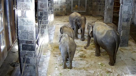 Expédition Pairi Daiza Сезон 1