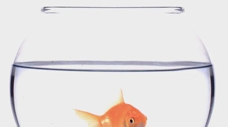 Boris (2007) poster