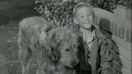 A Dog for Harold (1961) - Episode 7 poster and promotional image
