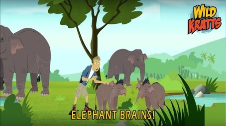 Elephant Brains (2018) - Episode 8 poster and promotional image