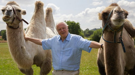 David Attenborough's Natural Curiosities Сезон 3