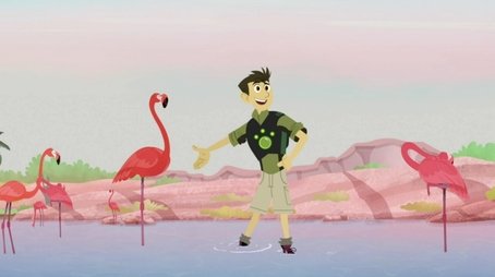Mystery of the Flamingo's Pink (2019) - Episode 1 poster and promotional image