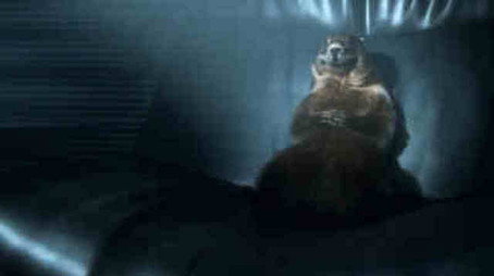 Les Marmottes Сезон 2