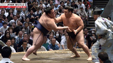 GRAND SUMO Highlights Сезон 35