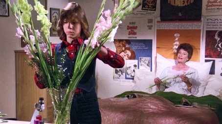 Comings and Goings (1977) - Episode 20 poster and promotional image