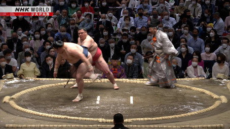 GRAND SUMO Highlights Сезон 11