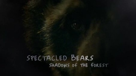 Spectacled Bears - Shadows Of The Forest (2008) - Episode 14 poster and promotional image