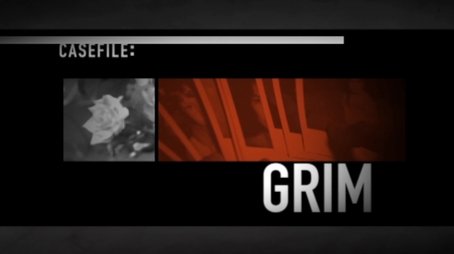 Casefile Grim