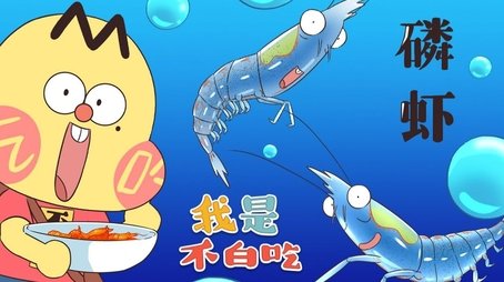 Episode 381 (None) - Episode 381 poster and promotional image