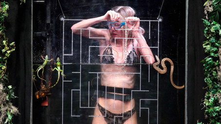 Ich bin ein Star - Die große Dschungelshow Sezóna 1