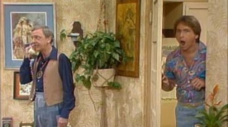 The Goodbye Guy (1980) - Episode 24 poster and promotional image