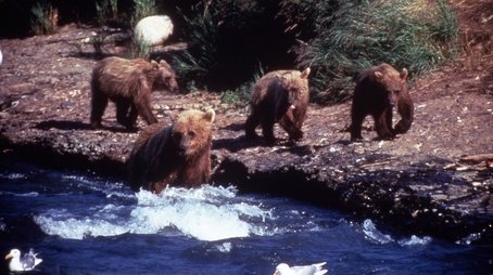 Showdown at Grizzly River (2000) - Episode 11 poster and promotional image