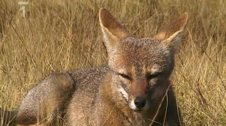 Episode 9 (2003) - Episode 9 poster and promotional image