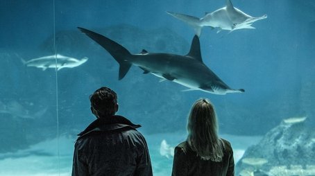 Episode 5 (2018) - Episode 5 poster and promotional image