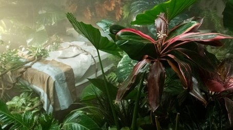 The Specimen Collector (2019) - Episode 12 poster and promotional image