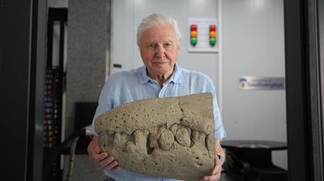 Attenborough and the Jurassic Sea Monster (2024) - Episode 11 poster and promotional image