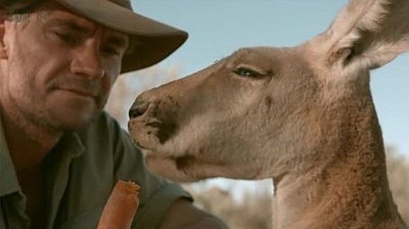 Kangaroo Dundee (2) (2013) - Episode 8 poster and promotional image