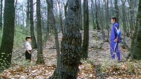 I'll Protect It! The Mysterious Boy's Forest
