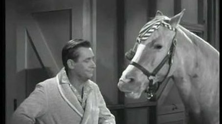 Animal Jury (1965) - Episode 7 poster and promotional image