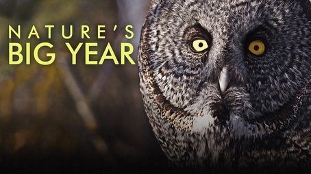 Nature's Big Year (2021) - Episode 2 poster and promotional image