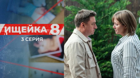 Ищейка Сезон 8