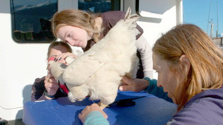 Dr. Oakley, Yukon Vet Сезон 10