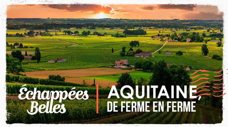 Episode 20 (2025) - Episode 20 poster and promotional image