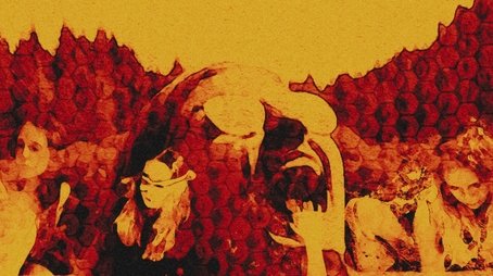 Honeycomb (2022) poster