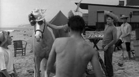 Ed the Beachcomber (1962) - Episode 23 poster and promotional image