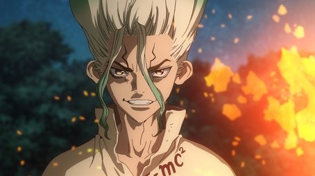 Dr. Stone11