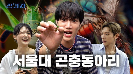 전과자 Évad 6