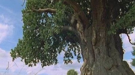 The Millennium Oak (1999) - Episode 5 poster and promotional image