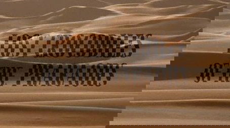 Lost Crocodiles of the Pharaohs (2003) - Episode 1 poster and promotional image