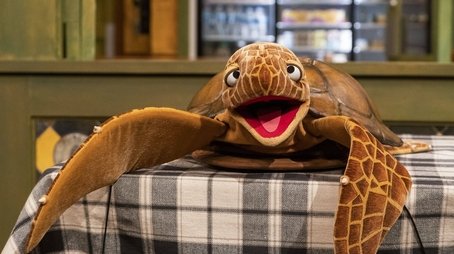 Turtle Tunes (2021) - Episode 33 poster and promotional image