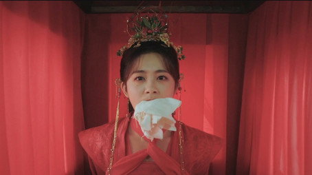 吾家才女初长成 Сезон 1