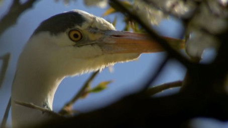 Greensand Ridge (2021) - Episode 13 poster and promotional image