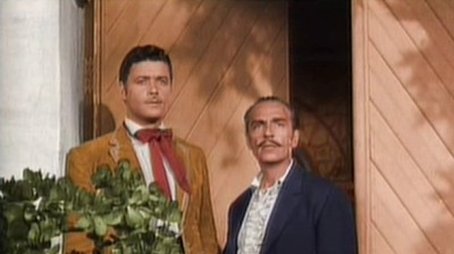Zorro13