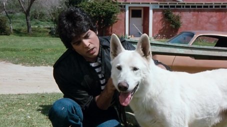 K-9-1 (1982) - Episode 26 poster and promotional image