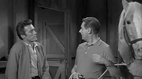 Clint Eastwood Meets Mister Ed (1962) - Episode 25 poster and promotional image
