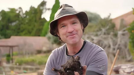 Episode 20 Guitar, Hydroponic, Laneway, Spring & Anthurium (2022) - Episode 20 poster and promotional image