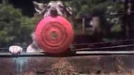 Boy On Wheels (1979) - Episode 10 poster and promotional image