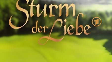 Sturm der Liebe (2005) poster