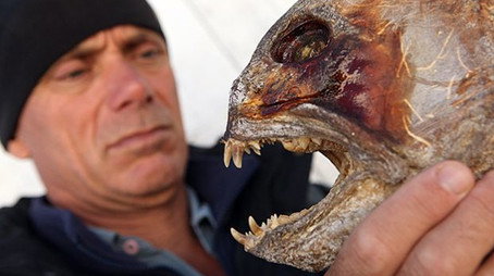 River Monsters Сезон 0