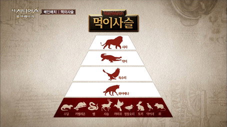 더 지니어스 시즌 2