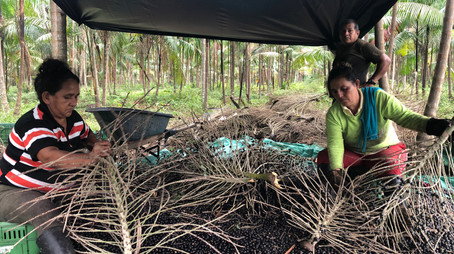 De Amazone Sezona 1
